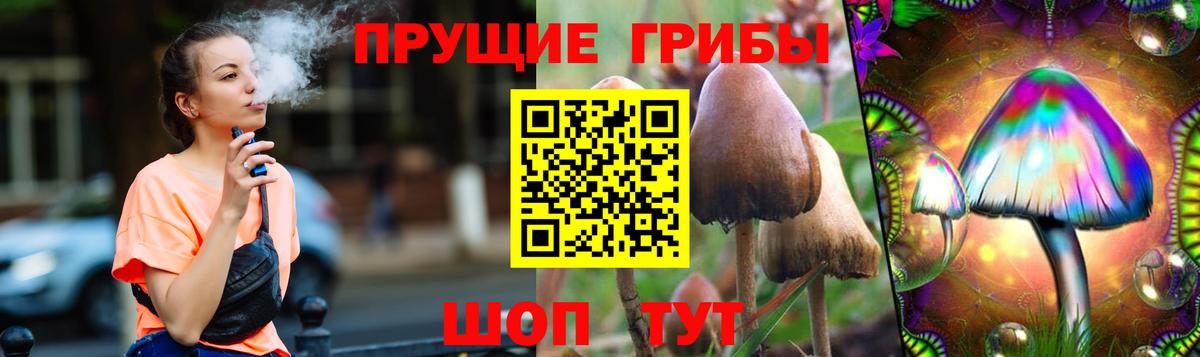 Саров  Галлюциногенные грибы мицелий  Вход с VPN  Псилоцибиновые грибы Psilocybe 